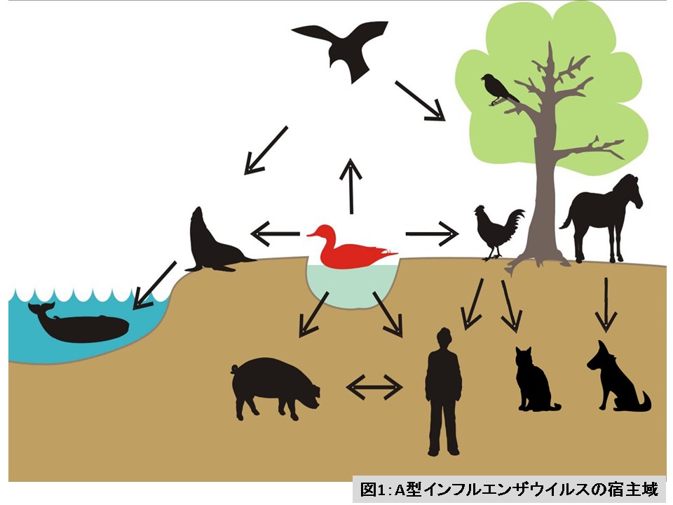 図1