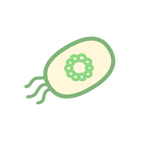 細菌のイラスト