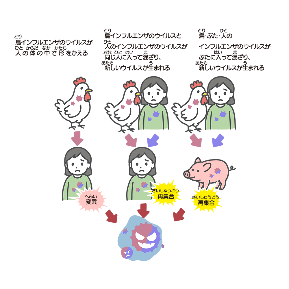 動物から人へ感染が広がるイラスト