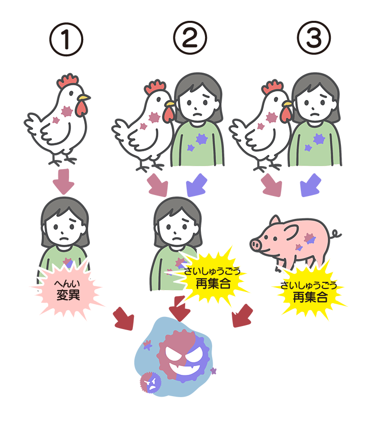 動物から人へ感染が広がるイラスト