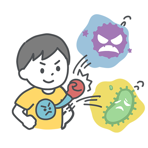 免疫がウイルスをやっつけるイラスト