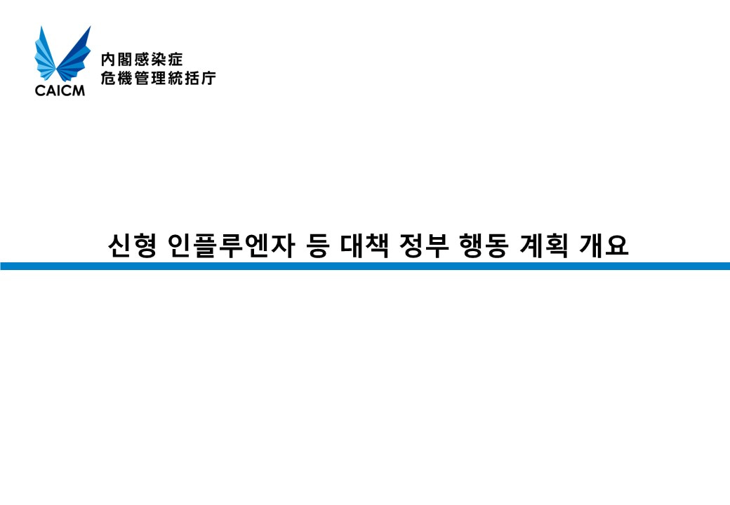 신형 인플루엔자 등 대책 정부 행동 계획 개요